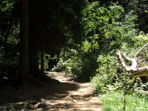 Just around the Bend